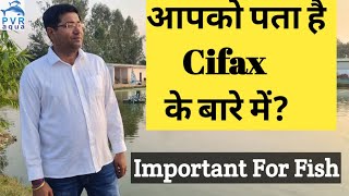 Aquaculture में Cifax की उपयोगिता। What is Work of Cifax  PvrAqua [upl. by Laicram]