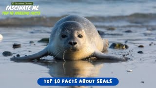 Top 10 Most Interesting and Fascinating Facts about SEALS [upl. by Wyne]