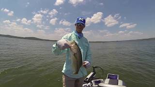 Summer Fishing at Table Rock Lake  Drop Shot amp Flipping [upl. by Ambrosio]