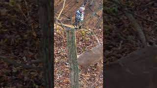 Matt tags a nice Wisconsin buck [upl. by Hareema]