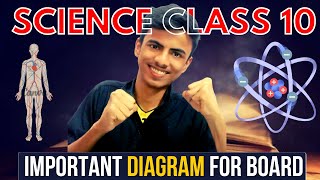 Class 10 Science important diagram science class 10 board paper 2024 important diagrams [upl. by Anuaek588]