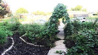 My Current Version of Irrigating My Keyhole Gardens [upl. by Varipapa]