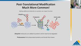 BIOL201 Ch166  Eukaryotic Translational and PostTranslational Gene Regulation [upl. by Anehc]