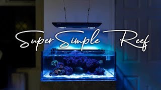 How To Setup a Super Simple Saltwater Reef Aquarium for Beginners [upl. by Sseb12]