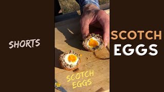 Easy Scotch Eggs shorts [upl. by Swarts]