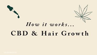 Does CBD help hair growth [upl. by Eikram]