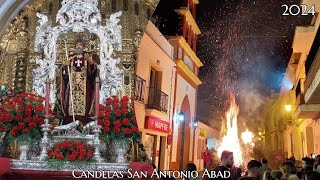 Candelas de San Antonio Abad  Trigueros 2024 HD [upl. by Odlaner]