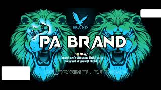 pa brand dj demo [upl. by Kynan387]