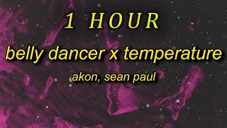 1 HOUR 🕐  Belly Dancer x Temperature TikTok hey ladies drop it down just wanna see you touch th [upl. by Auguste]