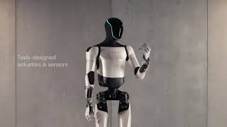 The Dawn of Humanoid Robotics 2024 Marks a Surge in AIEnhanced Capabilities [upl. by Nwadal519]