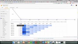 Cohort Report Beta in Google Analytics [upl. by Ephraim]