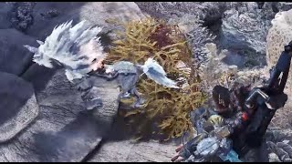 Monster Hunter World  FROM THE TOP ROPES [upl. by Creath]