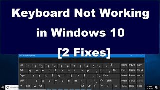 Keyboard Not Working in Windows 10 2 Fixes [upl. by Aneeuqahs478]