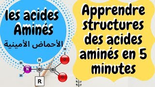 Les structures des acides aminés [upl. by Aelyak]