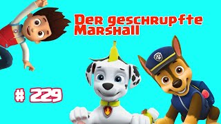 Paw Patrol  Der geschrumpft Marshall  229 Hörspiel [upl. by Miarfe116]