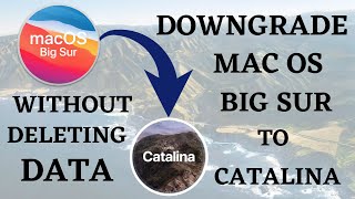 How to Downgrade MacOS Big Sur to Catalina Without Losing Deleting DATA  Hindi Tutorial 2021 [upl. by Eidroj]