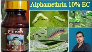 alphamethrin 10 ec uses in hindialphamethrin 10 ecalphamethrin 10 ec tamil [upl. by Adallard]