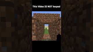 This Video is NOT looped minecraft memes minecraftmultiplayer gaming memes shorts [upl. by Notnil]