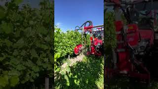 DEMO Tour  Pulsní defoliátor ERO VITIPULSE DUO 300 [upl. by Gershon]