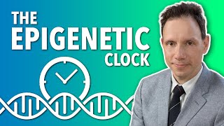 Epigenetic Clock  Dr Steve Horvath  Lifespanio [upl. by Eihpos]