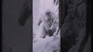 Hiker runs into Yeti  doesn’t make it out creepy beast yeti bigfoot nightmare horror [upl. by Geehan208]