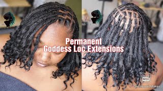 Permanent Boho Goddess Loc Extensions [upl. by Vern]