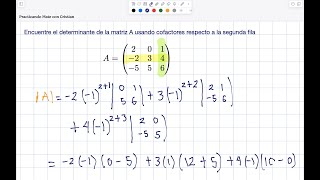 Determinante usando cofactores [upl. by Gnilsia]