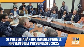 Se presentarán dictámenes para el proyecto del Presupuesto 2025 [upl. by Seuguh]