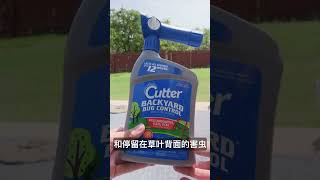 30 秒草坪除虫攻略  Inspect And Kill Your Lawn Insects In Spring  KK和Kathy 的后花园 [upl. by Nedlog]