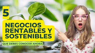 5 Negocios Rentables Sostenibles ♻️ Más Destacados en el Mundo 💡 [upl. by O'Rourke]