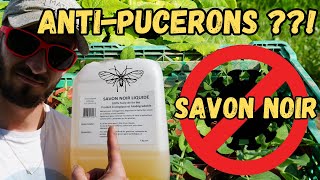 TRAITEMENT BIO CONTRE les PUCERONS SAVON NOIR [upl. by Sebastien157]