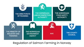 Regulation of Salmon Farming in Norway [upl. by Bela]