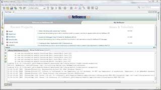 01 Adding Liferay Portal Server to Netbeans [upl. by Tacita111]