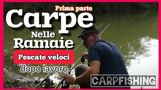 Carpe nelle Ramaie  Carpfishing in Cava di Campagna  Sessione Veloce dopo Lavoro Prima Parte [upl. by Marena89]