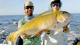 GIANT Golden Tilefish and Swordfish Fishing [upl. by Nylegna]