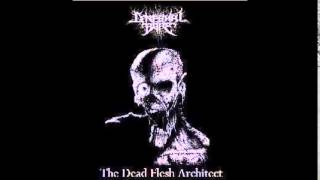 Cerebral Bore  The Dead Flesh Architect FULL EP  2006 [upl. by Saticilef485]