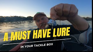 A Must Have Lure In Your Tackle Box [upl. by Zaller]