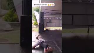 BEST SKOMOTA DANCE CHALLENGE OF ALL TIME🔥🔥😹😹😹 [upl. by Assira]