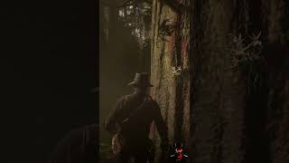 Unveiling the Secret Location of the Ghost Orchid RDR2  reddeadredmption2 CowBoy [upl. by Yhtrod]