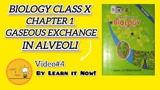 GASEOUS EXCHANGE IN ALVEOLI  Chapter 1  Class 10  Biology [upl. by Nehtanoj129]