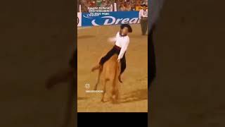 Agustin Vallenari horse jineteadas rodeo jinetes [upl. by Aivek766]