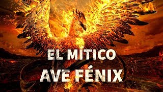 El Mítico Ave Fénix Renovación Renacimiento Y Destrucción [upl. by Rosaleen]