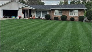 How to Overseed Kentucky Bluegrass  or Cool Season Lawn [upl. by Faust]