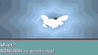 Pokemon emerald blind run 12  A parasite has infiltrated my team [upl. by Yeuh287]