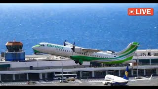 Madeira Airport Live Action LPMA Spotter ✈️ 19102024 [upl. by Anuahsal231]