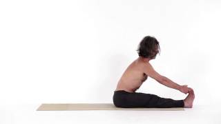 Distensione posteriore  Paschimottana Asana [upl. by Oivlis]