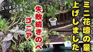 ガーデニング）ミニ花壇のかさ上げ、バラの地植えと見切り品の植え付け [upl. by Salas995]