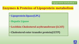 20 Enzymes amp Proteins of Lipoproteins Metabolism Lipid Metabolism Biochemistry [upl. by Phene]