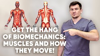 How Do Muscles Work The Biomechanics of Movement You Need to Know [upl. by Kary]