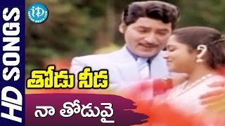 Naa Thoduvai Video Song  Thodu Needa Songs  Sobhan Babu Radhika Saritha  Chakravarthy [upl. by Tronna775]